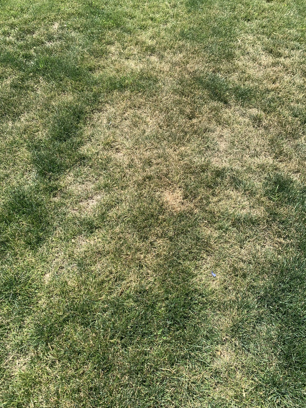 7792522F-4E01-4657-8B52-CE906D99A9CD