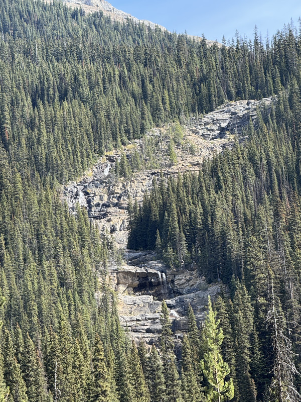 IMG-6988.jpg