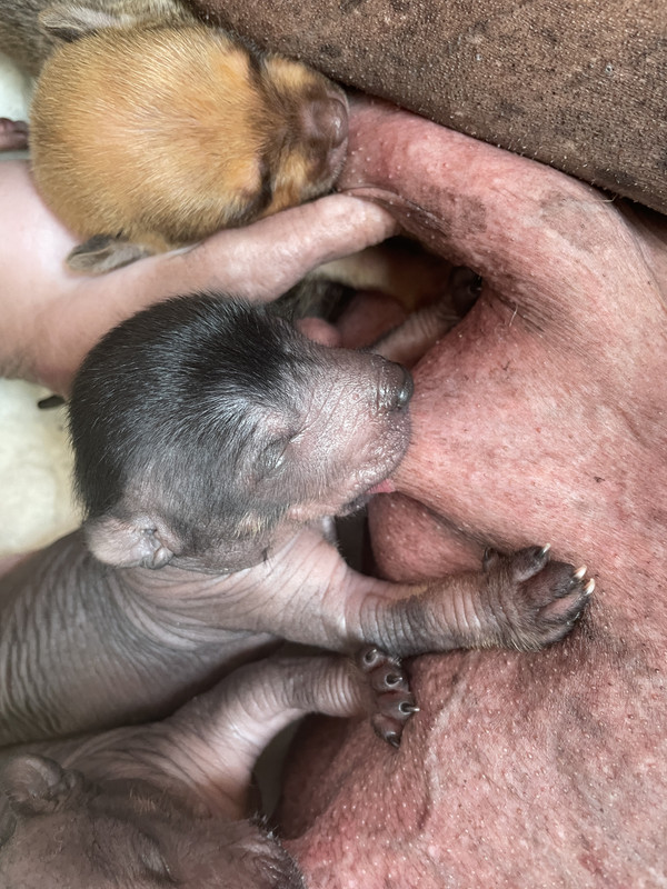 0F35B774-8A78-4D5D-BF1A-AB7E506A10C6