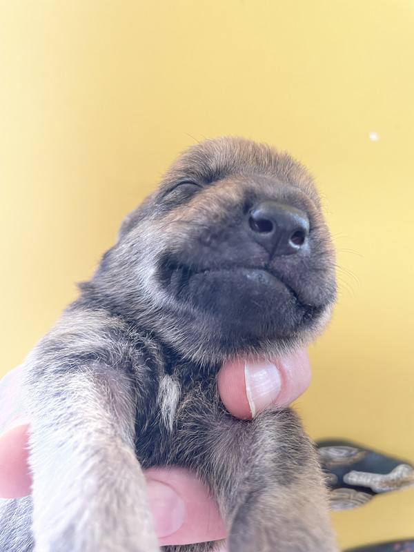 59FFD386-5BA4-4B1B-A3FF-84322DD5AA8D