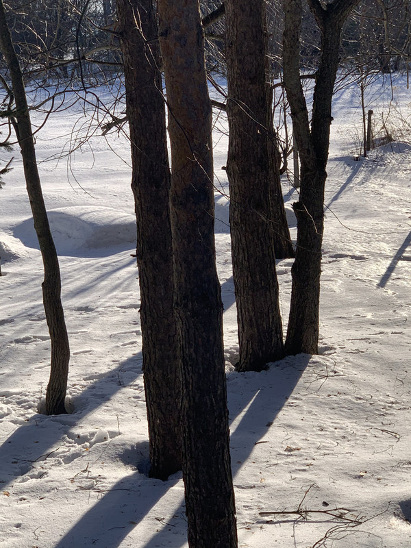 30F56A8B-7525-4316-8612-6CB5286A98E6