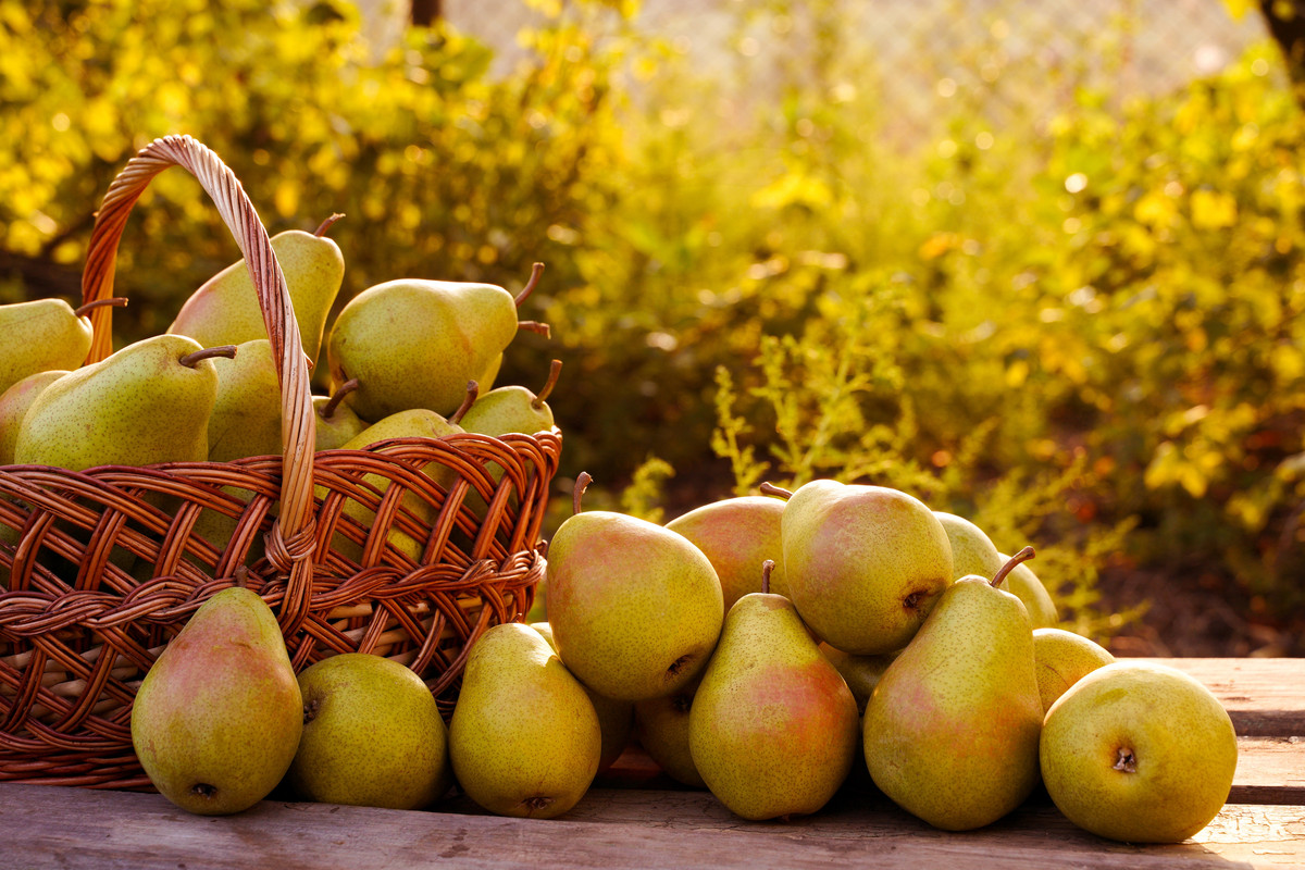 Pears for heart health