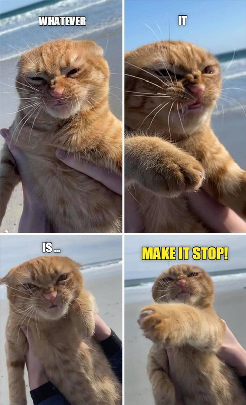 got-it