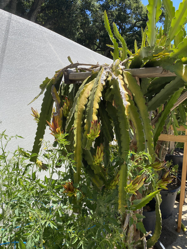 F5582E80-7E80-4023-9771-97905B5D15E1