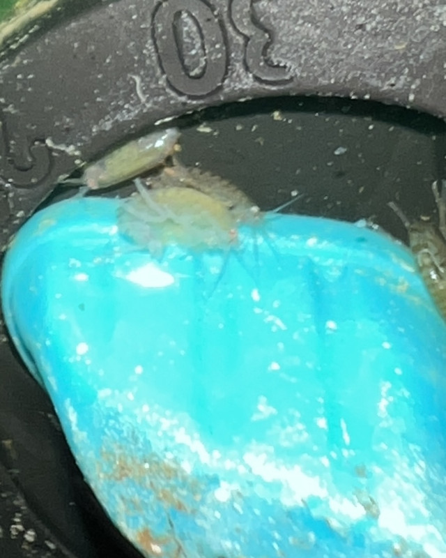 48AC2855-622F-47C2-9694-DEA8BA7366E9