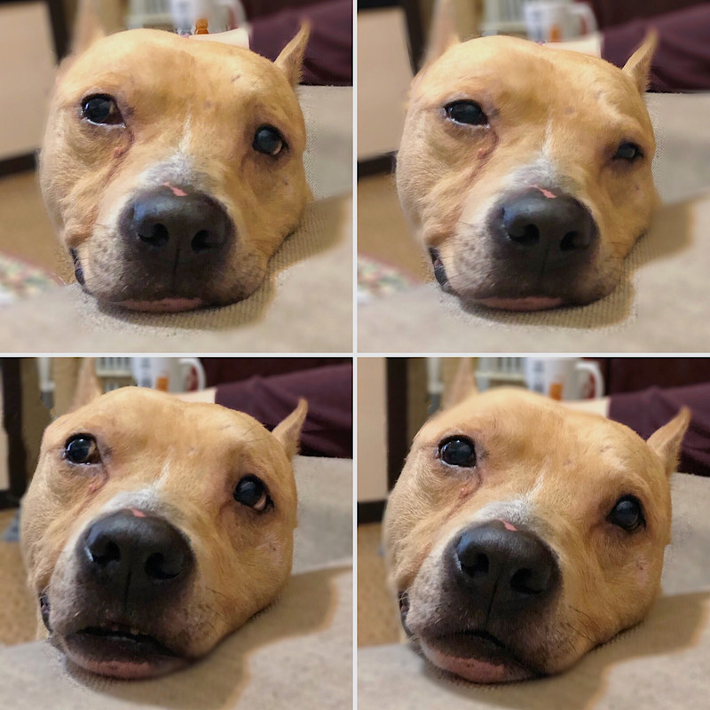 DA039CCE-385C-46D7-9BB6-8E3481660633