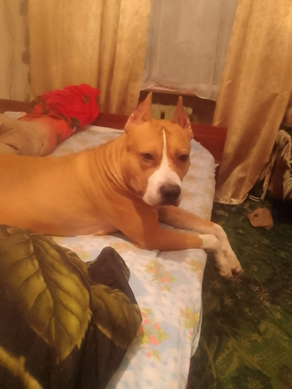 3A8447B5-CE7A-48FF-B262-3968715E7E28