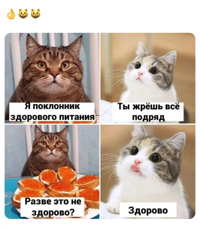 https://i.postimg.cc/bJVkLzKB/TOGAj-Hrh6sm2-B-x-r-LPUzu-Kut05y9-2if3v-Ja-REt-OT62-e-Nglygt04vvsouf-Ks-XYTo-Kp-CGTZC90e-Exy-Vw7z-Eiz-Z.webp