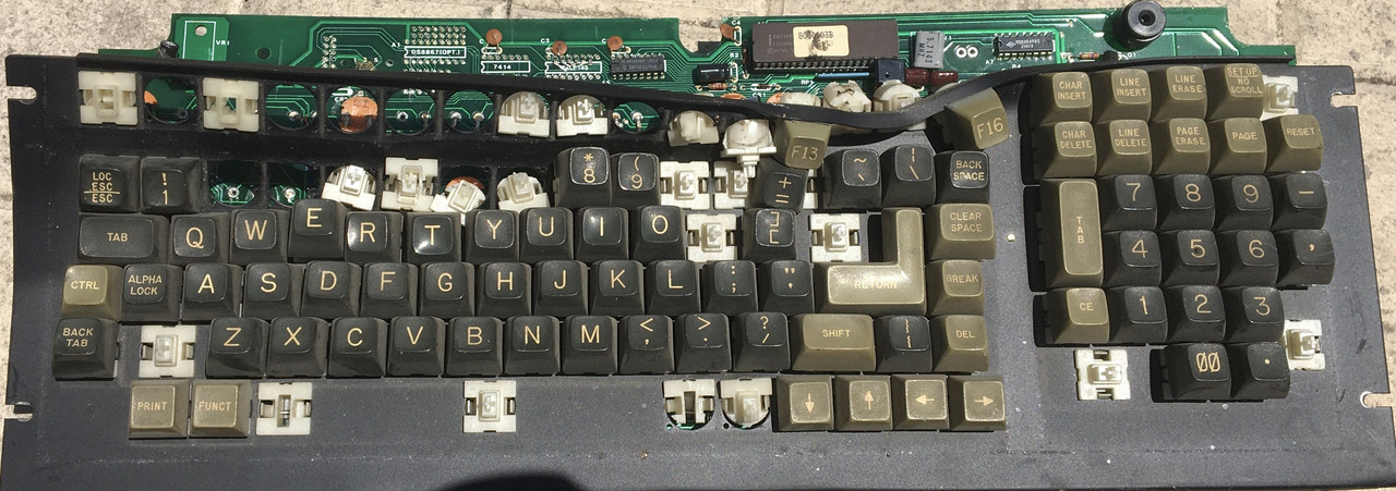 EBC8D816-B310-42BB-9EF2-3E3B800CC975