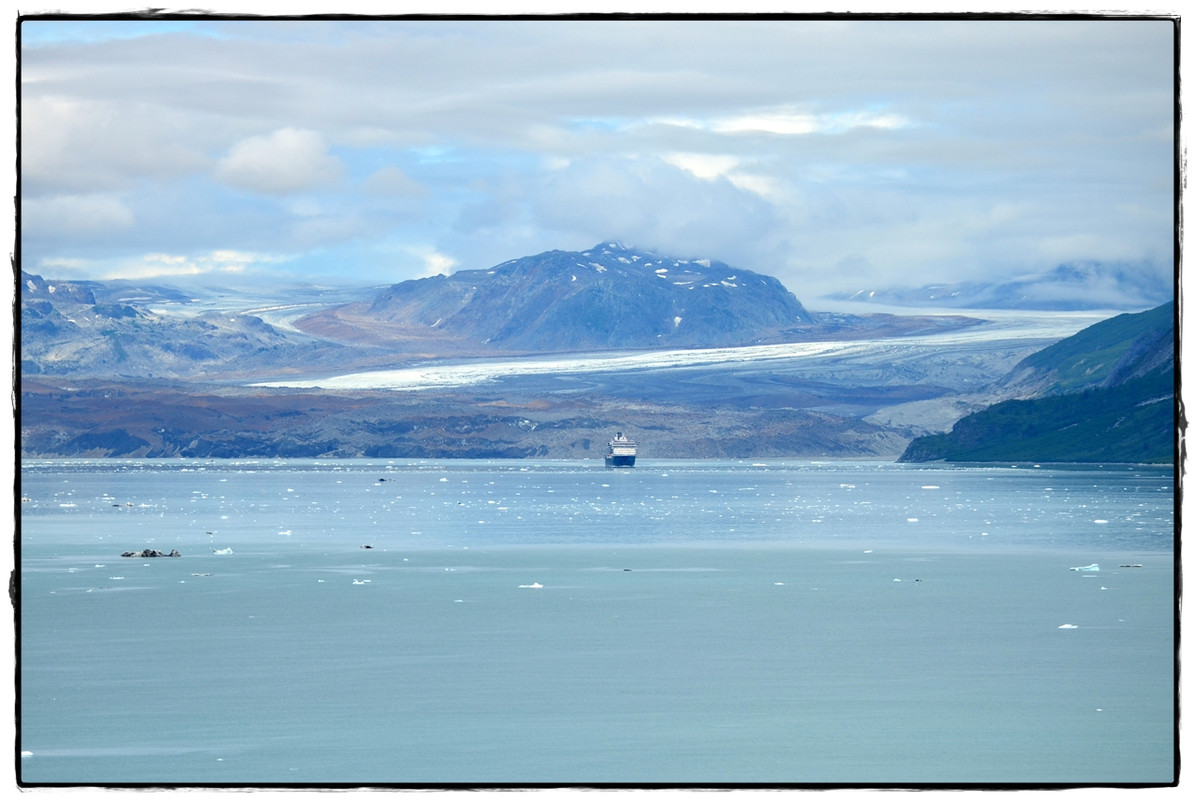 22 de junio. Navegando por Glacier Bay - Alaska por tierra, mar y aire (6)