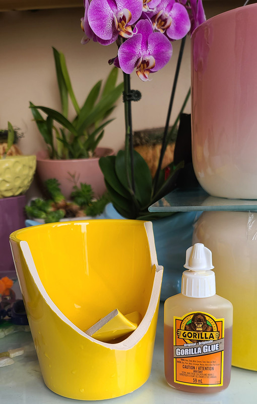 [Image: 20230602-102414.jpg]