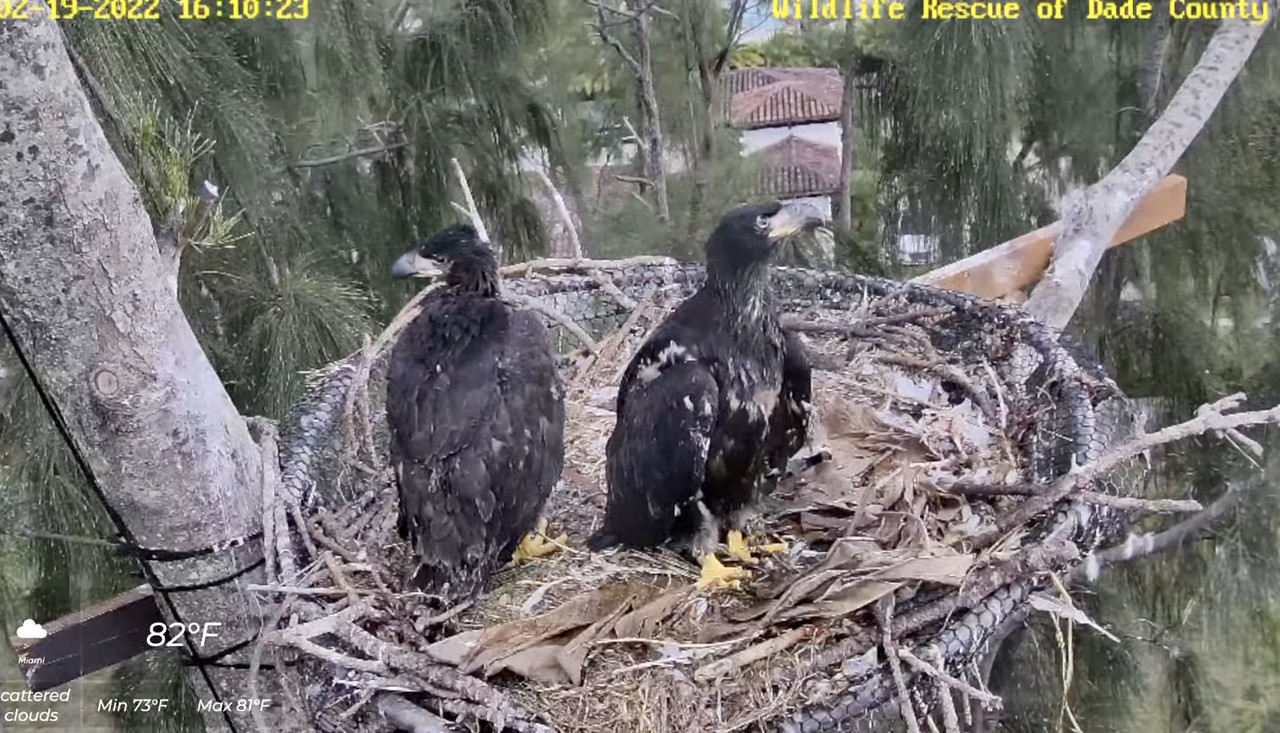 1E838D4A-6FFB-4646-AFBE-6D0EE2F38D52