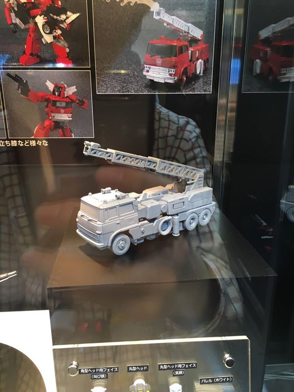 13417026_277994132551021_1310688109210022063_o