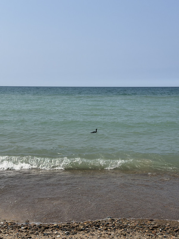 IMG 4328