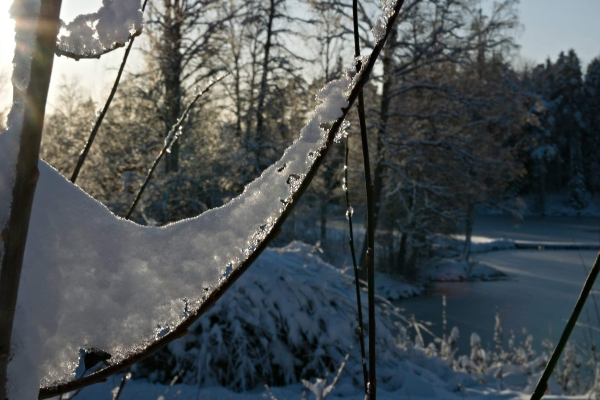 E379A676-FCDA-4D84-97D8-5CE2F091CC16