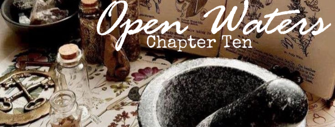 Chapter ten: Apothecary set up on a table, empty bottles, mortar and pestle, dried herbs, etc 