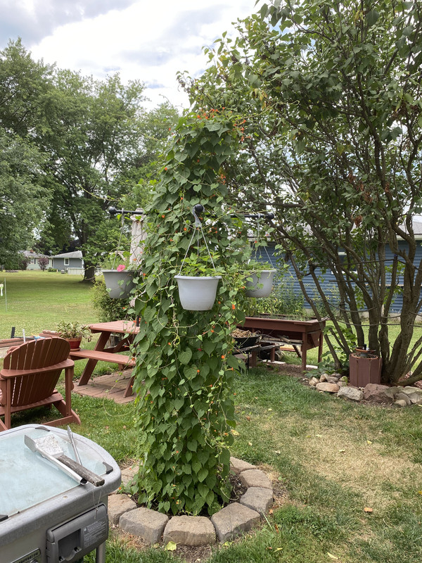 95AEFC26-BCAC-4F3F-94E7-F94991E5FC11