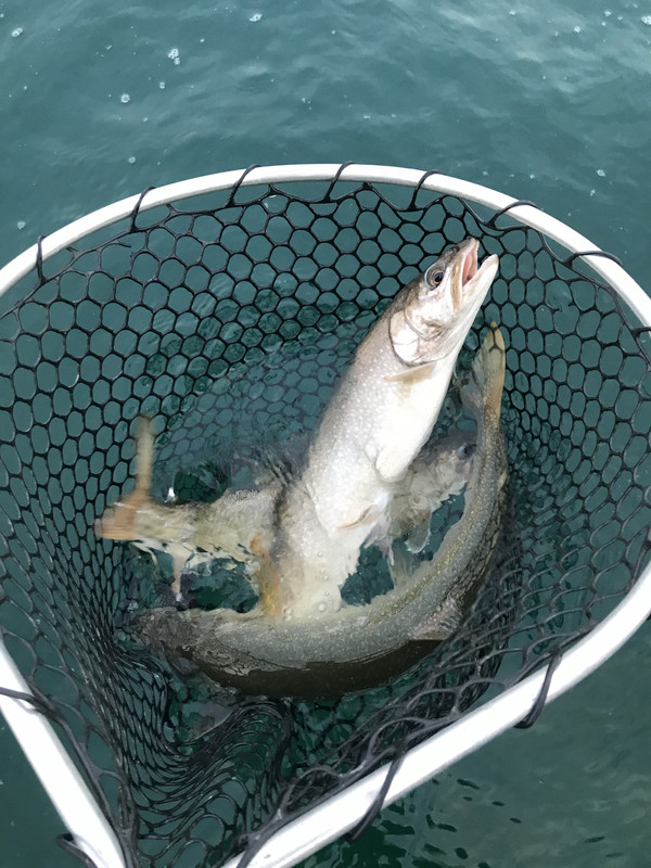 0605D4DE-4728-4ECC-9829-9A3AD7E5D30D