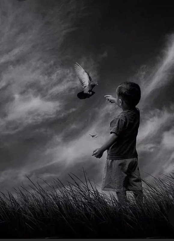 Screenshot_20230324_012420_Pinterest