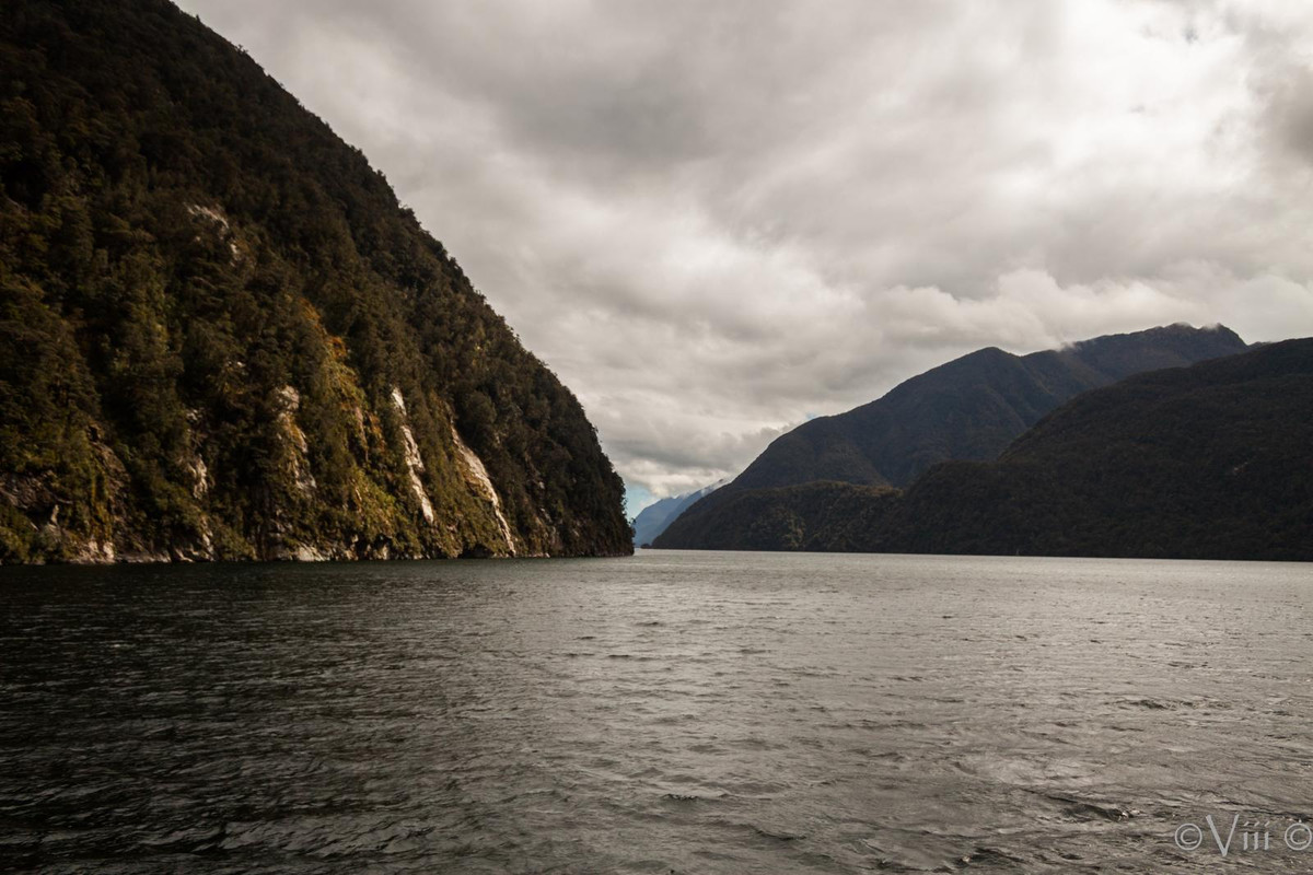 Día 13. Doubtful Sound & Fangorn. Noche en Queenstown - Nueva Zelanda/Islas Cook - Viaje de novios a la Tierra Media (2)