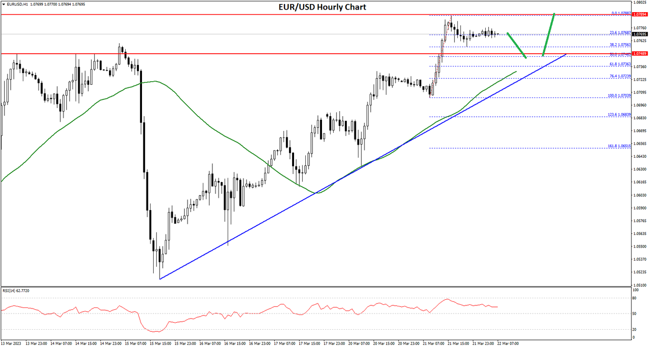 Daily Market Analysis By FXOpen in Fundamental_eurx