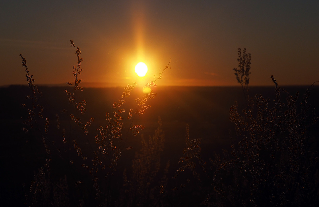 PA132042.jpg