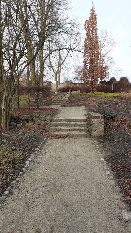 009 - 20200112_144138