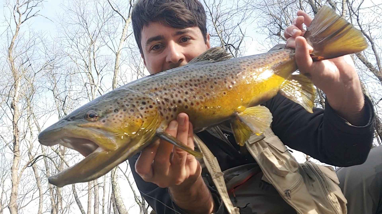 1208241300_exported_4364021