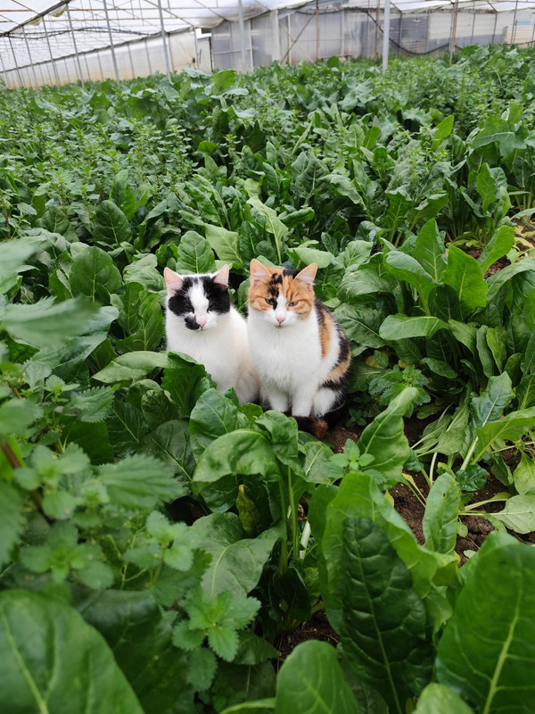 Whats App Image 2026 02 21 at 23 08 19 (2)