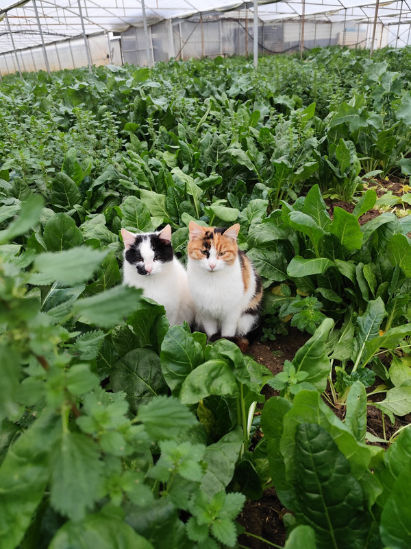 Whats App Image 2026 02 21 at 23 08 19 (3)