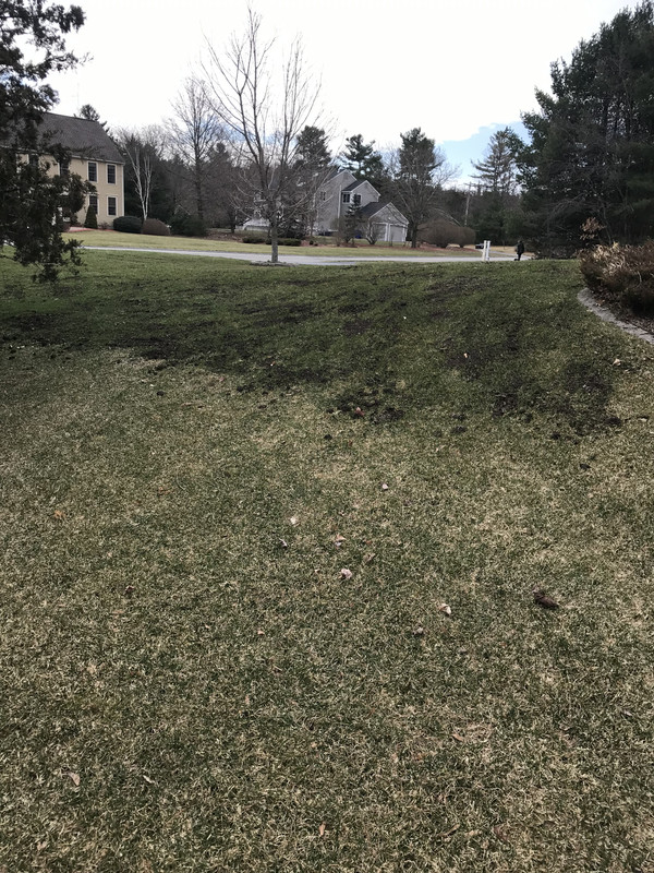 210A874F-711C-44C8-94B2-D327F62E9652