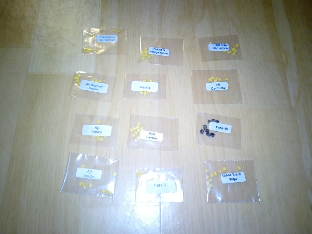 IMG-20190114-160752.jpg