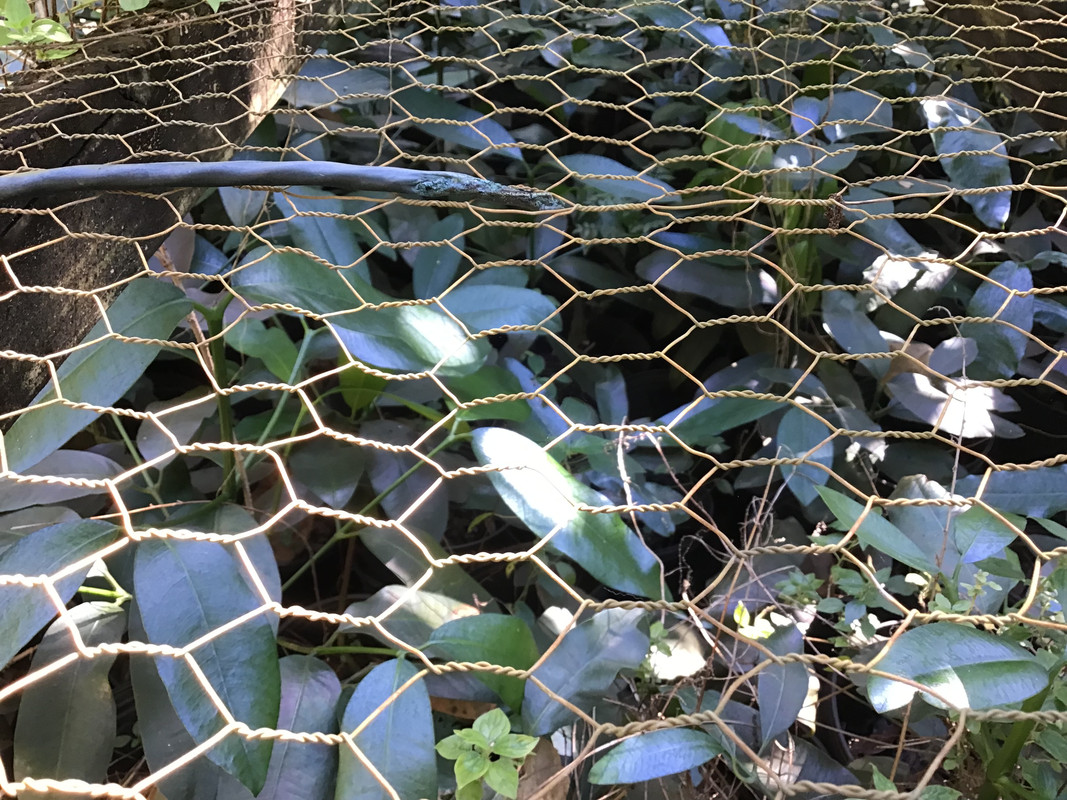 C4103AC7-7AF9-425C-9256-CCD23E17F0C2