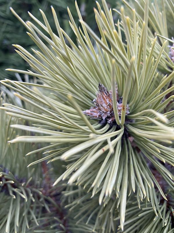 16ADCBE4-36E6-4774-8C20-7D12BD5892DC