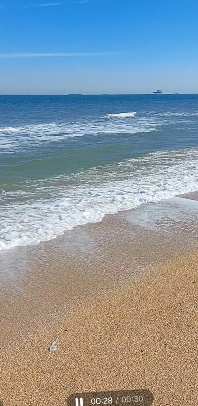 Screenshot_20240330_162416_Gallery