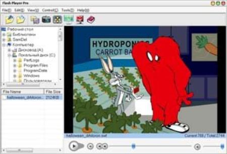Flash Player Pro 6.0.0 Portable