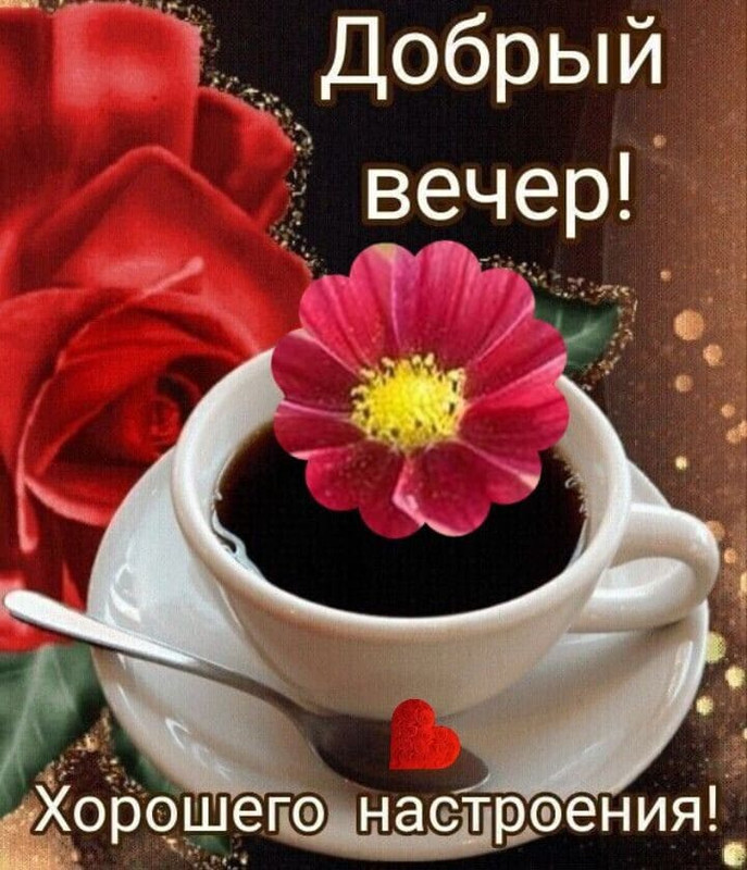 добр веч2а