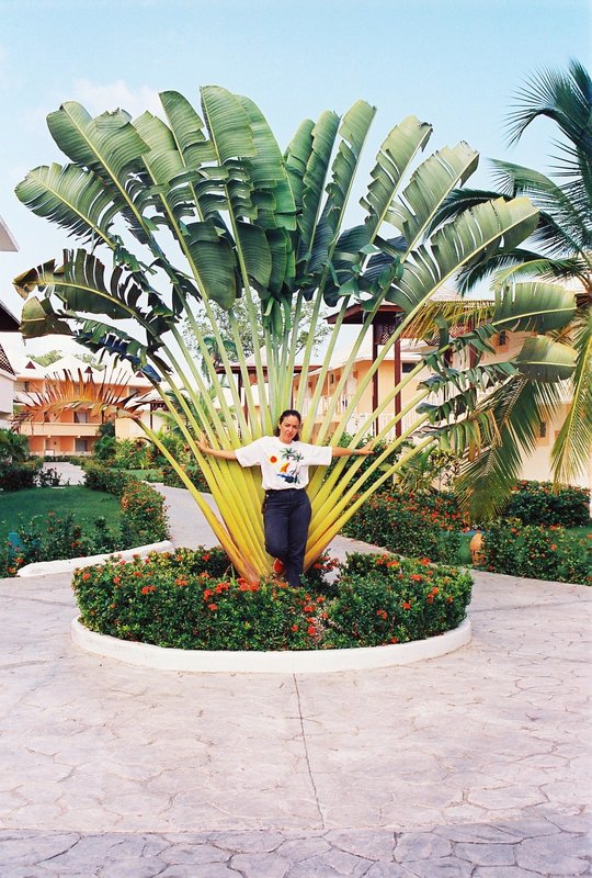 Hotel Fiesta Palace 5* - República Dominicana y sus pueblos-1998/1999/2004 (7)