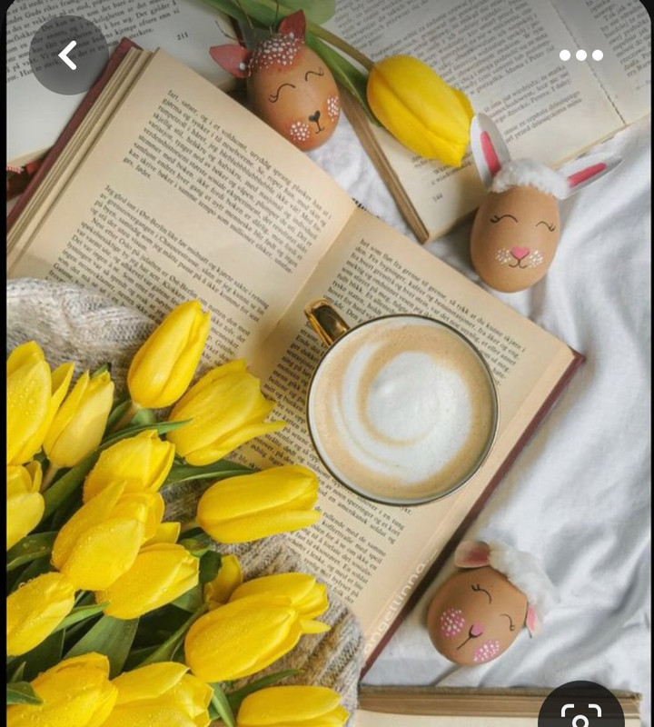 Screenshot_20230415_235133_Pinterest