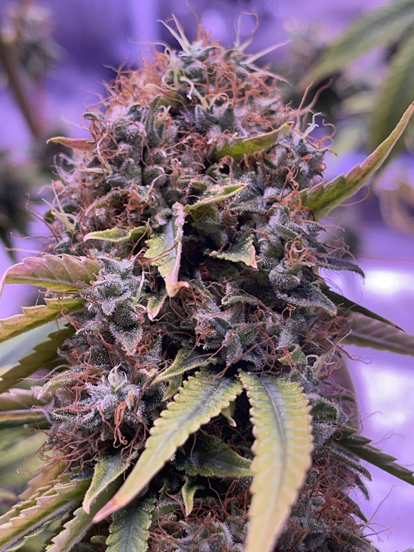 6E7BBFDC-731B-4437-8160-67CD213CC441