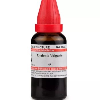 Willmar Schwabe India Cydonia Vulgaris 1X (Q) (30ml)