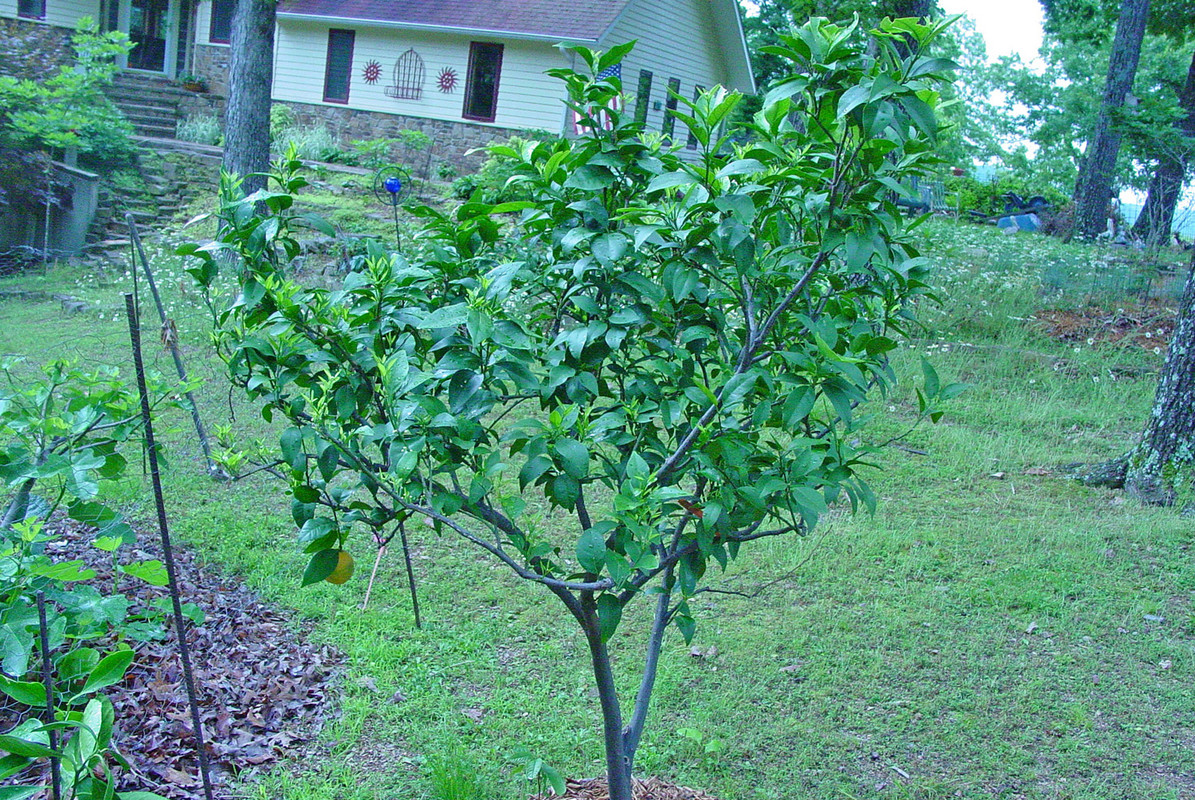 DSC01697