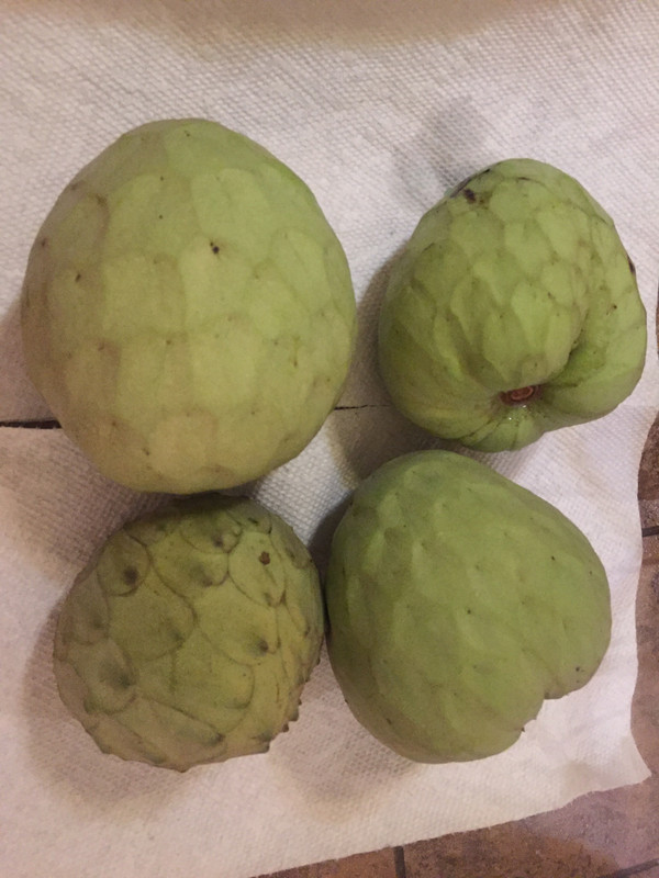 FA380709-2D40-4263-B4EF-296B849BBF79