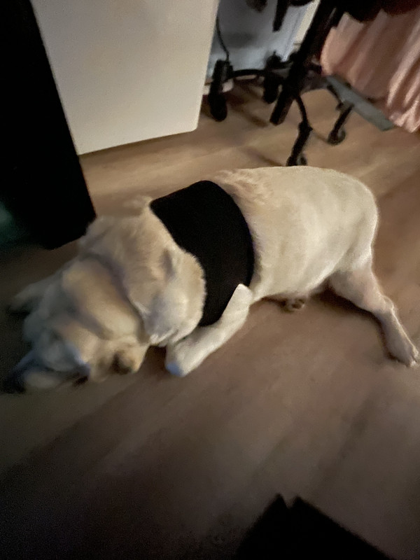 7E4DFFBB-86F1-4D97-8E58-7E75E4AD944D