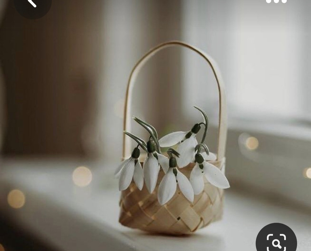 Screenshot_20230616_182443_Pinterest