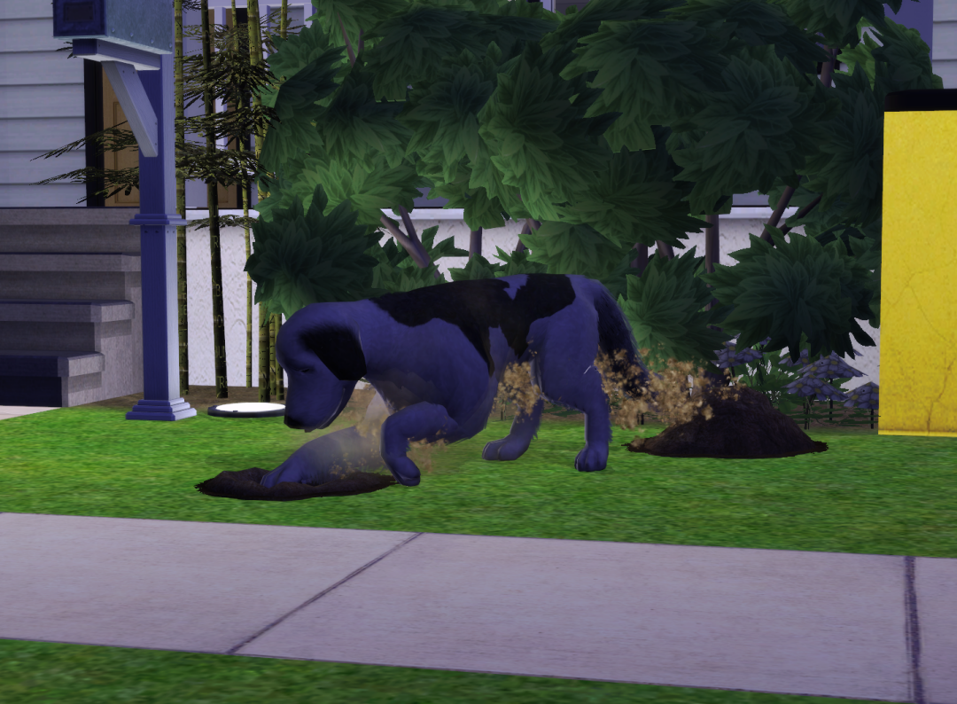 Sims2-EP9-RPC-2024-04-21-21-37-03-97