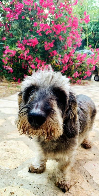 [Image: IMG-1024.jpg]