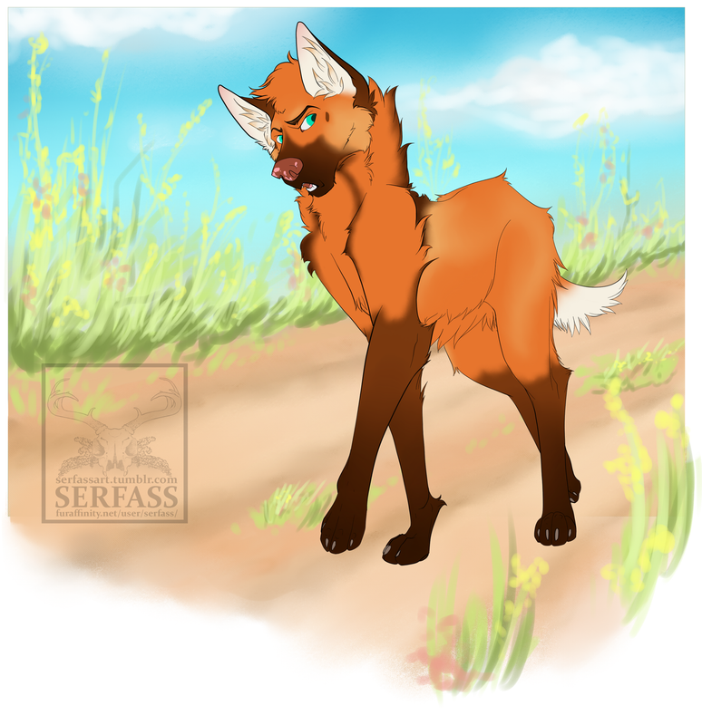 maned-wolf.png