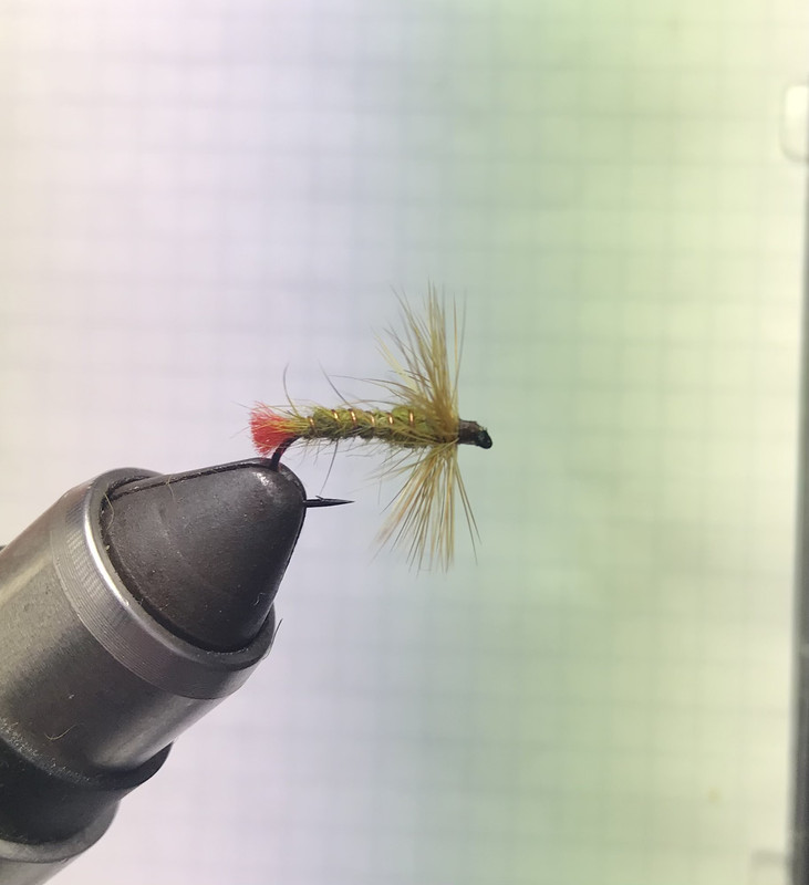 38EBD6CE-798B-483F-8393-2CAAACE80A8F