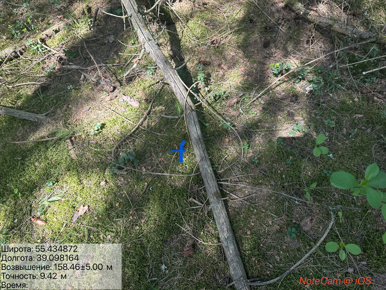 IMG E4701